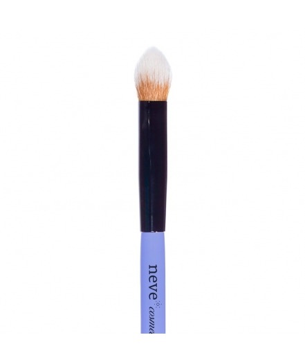 Pennello Sky Corrector
