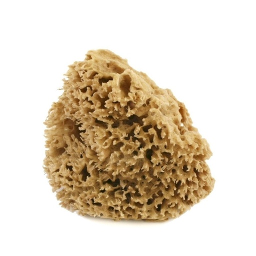 [8022544121050] Spugna corpo Arcipelago lavata 8/10 gr